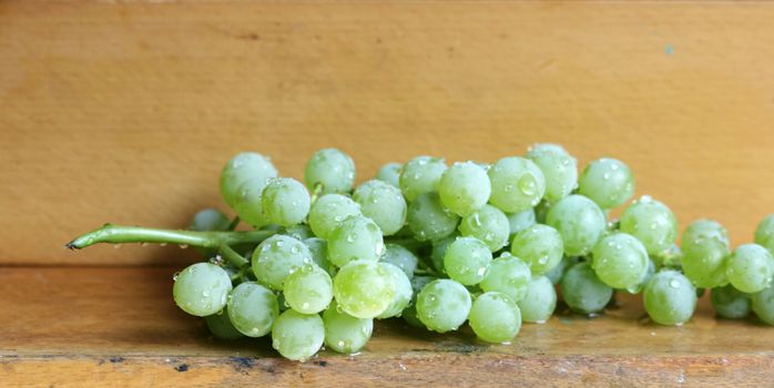 ripe grapes