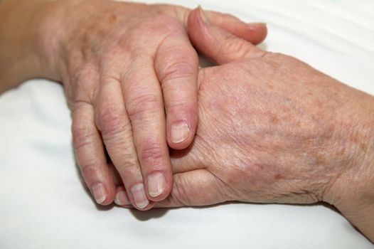 Old wrinkled hands of an elderly person.