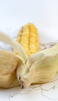 Corn cobs