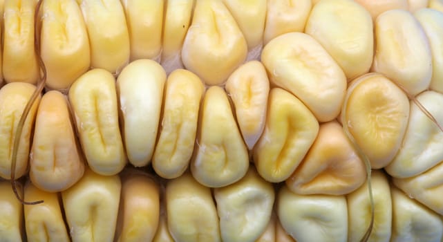Corn cobs