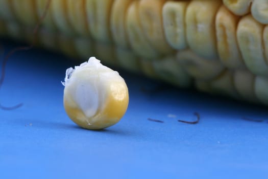 Corn cobs