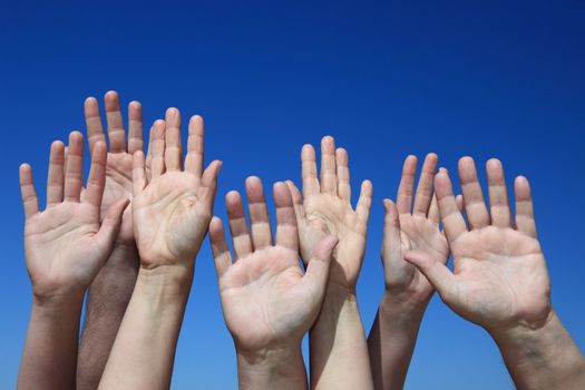 Various hands reaching to the bright blue sky.