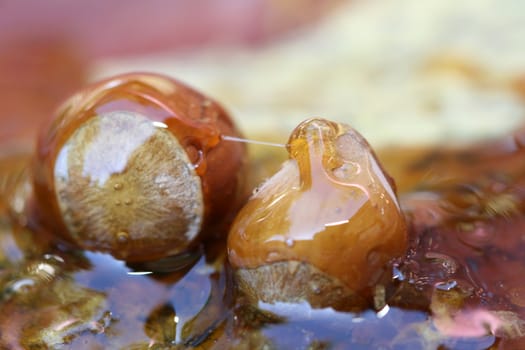 Flowing golden honey on nut
