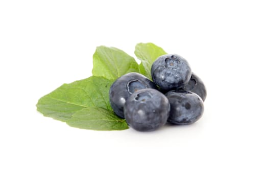 Blueberries on white background.