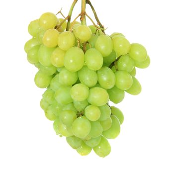 Ripe grapes on white background.