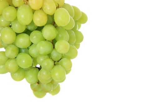 Ripe grapes on white background. Extra text space on the right.