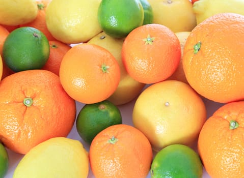 Various citrus fruits. Background texture.