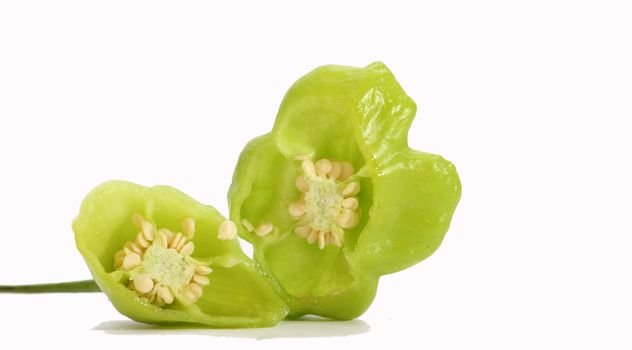 small bell pepper
