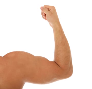 Heavily muscled arm. All on white background.