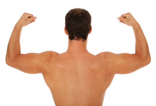 Muscled back of a male person. All on white background.