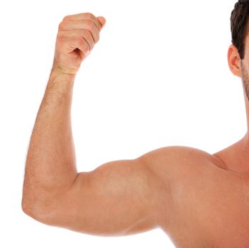 Heavily muscled arm. All on white background.