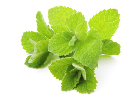 Mint, isolated on white background