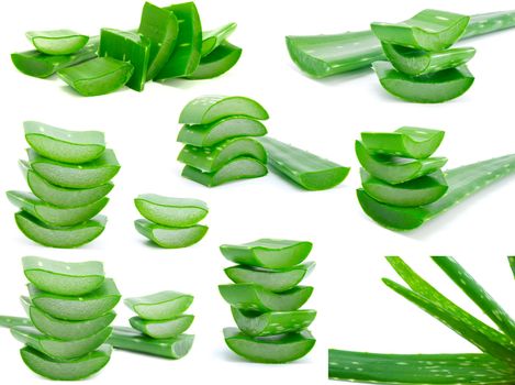 Assortment of sliced aloe leaves isolated on white background 