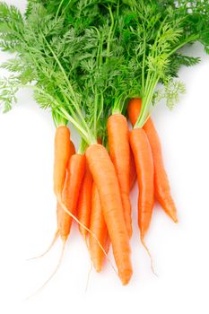 fresh carrot fruits with green leaves