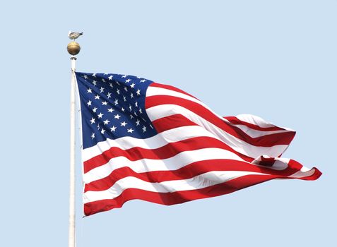 The American flag - the Stars and Stripes - flies on a sunny day against a clear, powder blue sky. A gull stands nonchalantly atop the flagpole.