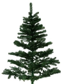 Standard christmas tree. Isolated on white background.