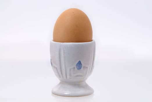 One egg in an egg cup agains white background.