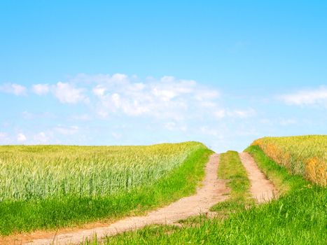 road in the green field with deep blue sky 