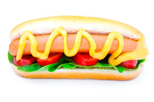 Hot dog with vegetables on a white background 