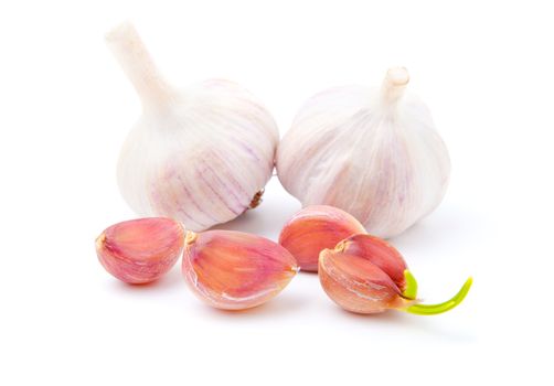 garlics isolated on white background 