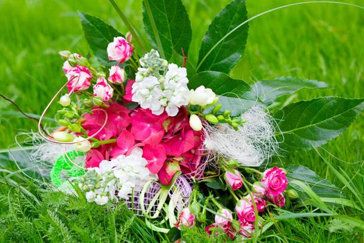 colorful bunch of flowers on the lawn