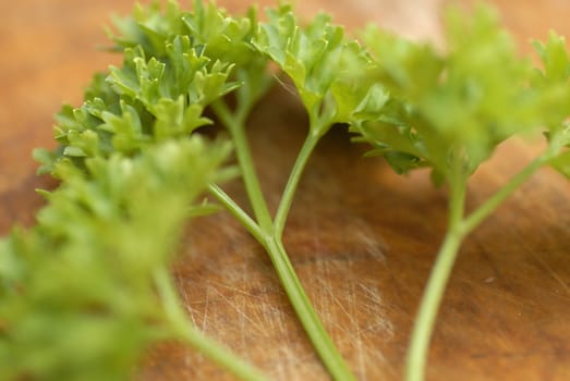 Bunch of freshly picked parsley (Petroselinum crispum) arranged on a wooden chopping board.