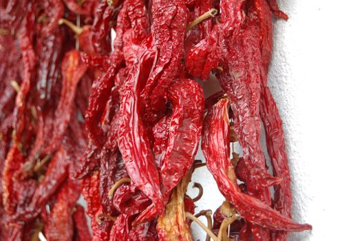 Red hot peppers