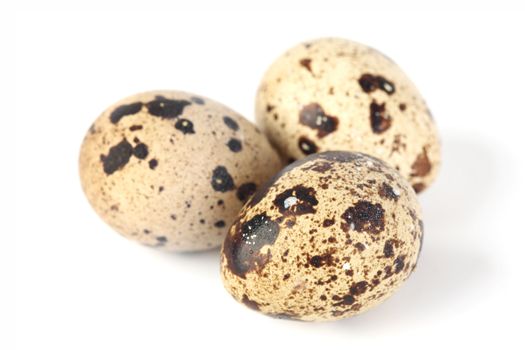quail egg background isolated macro close up