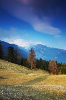 spring alps mountains scene background