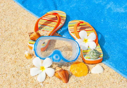 Seashells, diving mask and sandalls on the beach