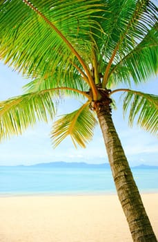 Tropical beach at Thailand - vacation background