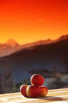 fresh apples in sunrise light