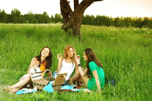 very fun girlfriends on picnic 