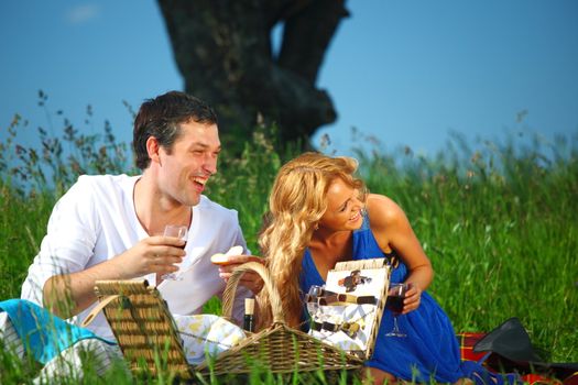 very fun lovers on picnic 