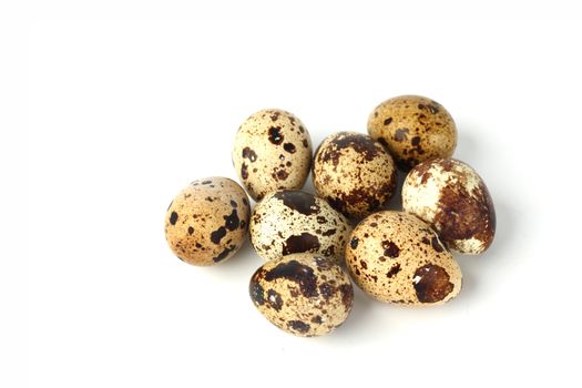 quail egg background isolated macro close up
