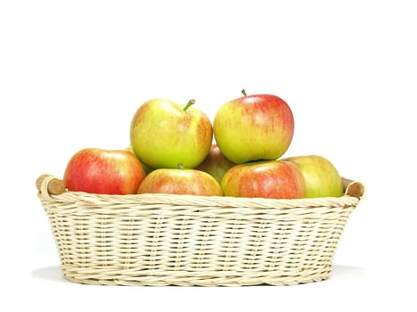crispy elstar variety apples on native basket