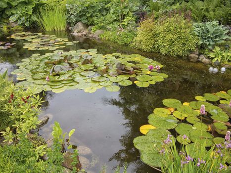 Little pond in Danish country garden during a silent rain.