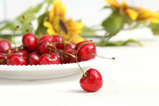 Cherries and sunflowers with white background