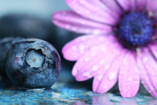 Macro shot of a blueberry and daisy