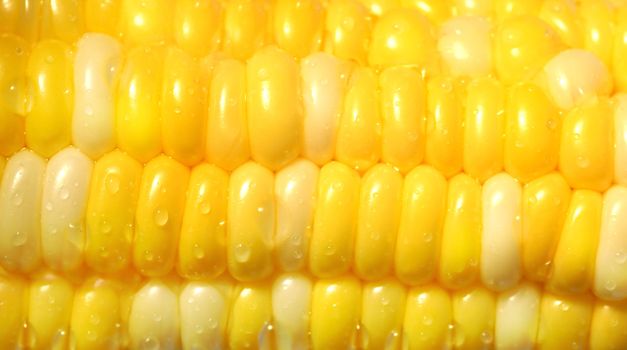 Macro shot of a corn
