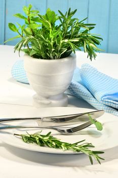 Fresh green herbs on a table in the kitchen