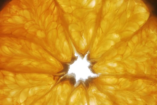 Orange. A cut of a fruit of an orange with the bright expressed structure