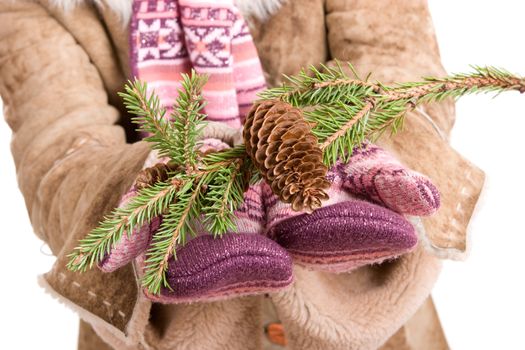 a branch of fur tree with cones in the hands of the girl in mittones ahd winter coat