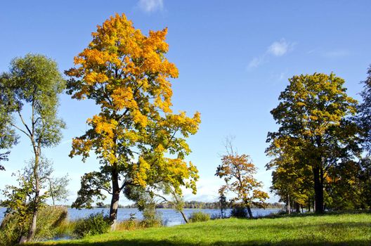 Colorful trees in early autumn at lake. Natural backdrop. Blue sky.
