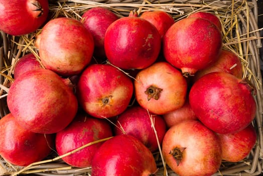 Pomegranates on display, Punica granatum