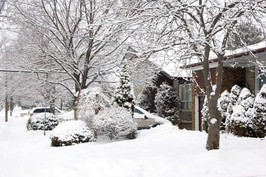 Snow on the street of North York