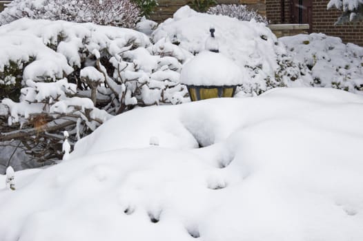 Snow on the street