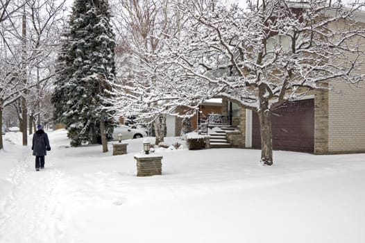 Snow on the street