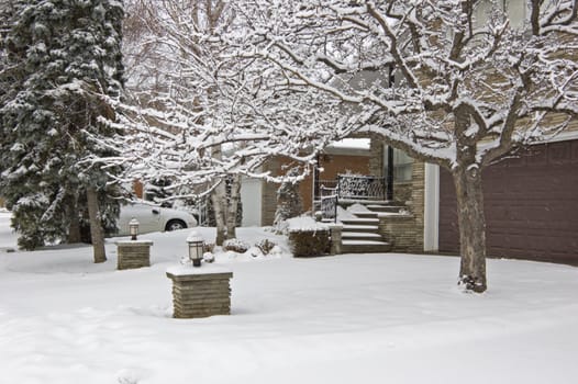 Snow on the street
