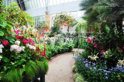 Plants at greenhouse, Auckland Domain, New Zealand